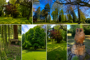 Parc arboré au Domaine Le Fournay by cotevent